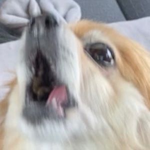 Meet your Posher, Tracker